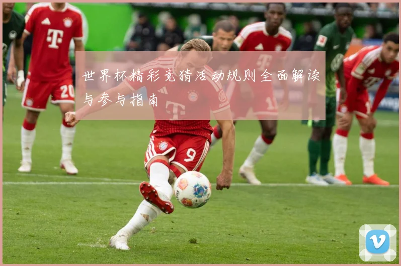 世界杯精彩竞猜活动规则全面解读与参与指南