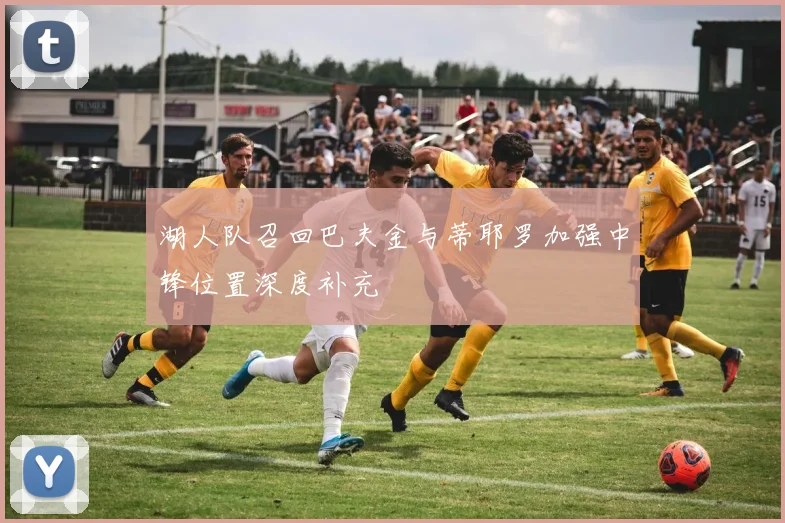 湖人队召回巴夫金与蒂耶罗加强中锋位置深度补充