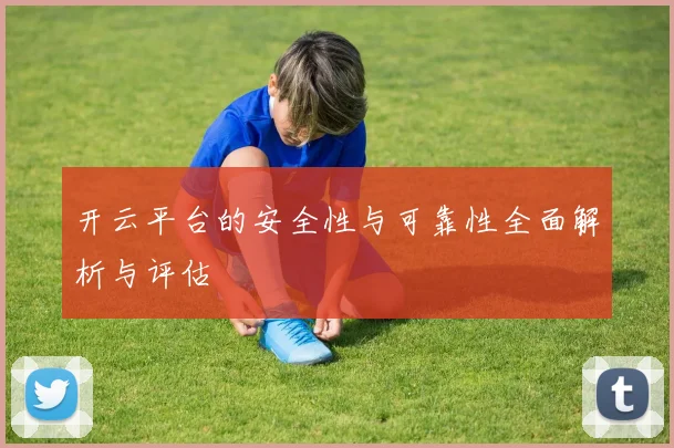 开云平台的安全性与可靠性全面解析与评估